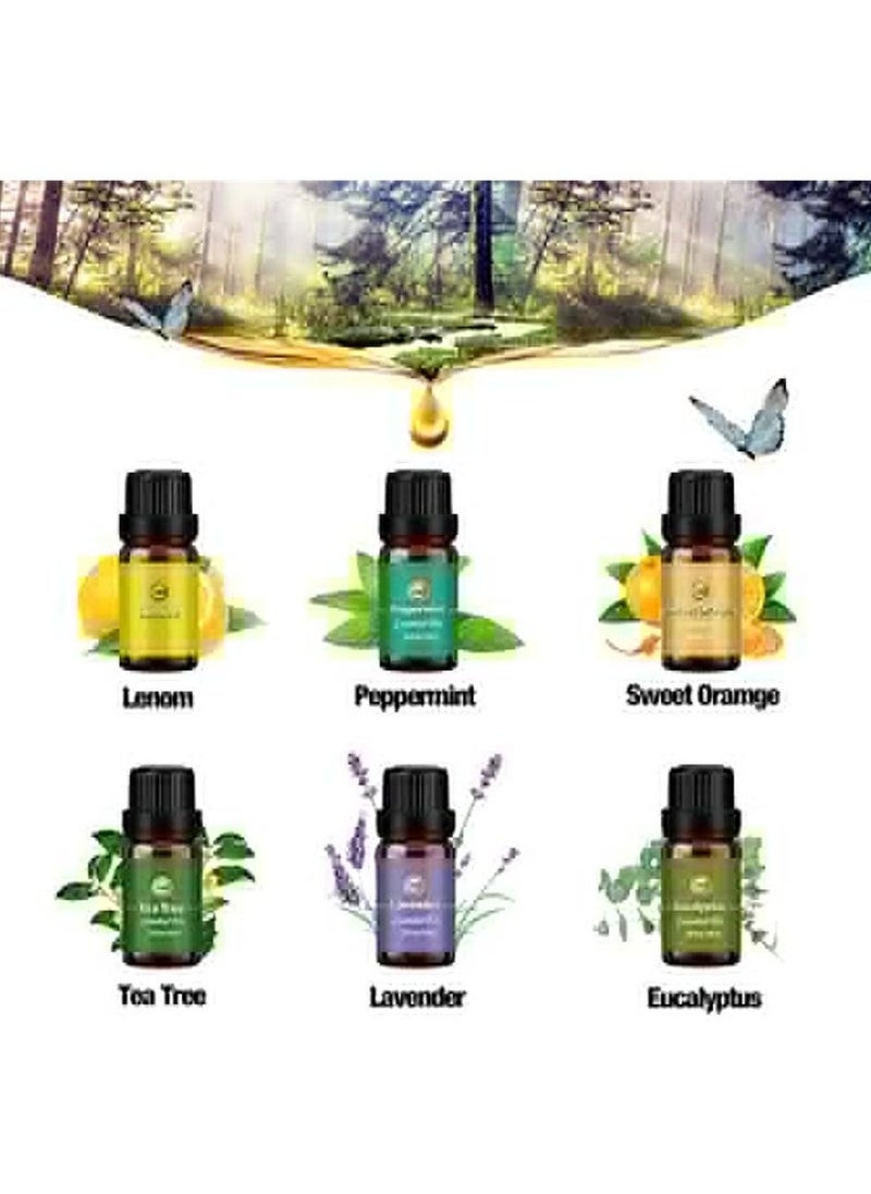 Beauenty - Oils Set for Diffuser, 6pcs x 10 mL Diffuser Oil, Lavender, Eucalyptus, Lemon, Sweet Orange, Tea Tree, Peppermint - Image 1