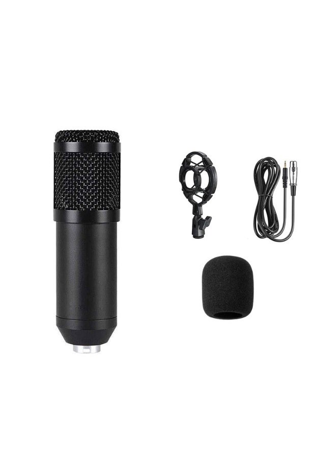 EBMINI New Professional Home KTV Singing Recording Home Karaoke Microphone