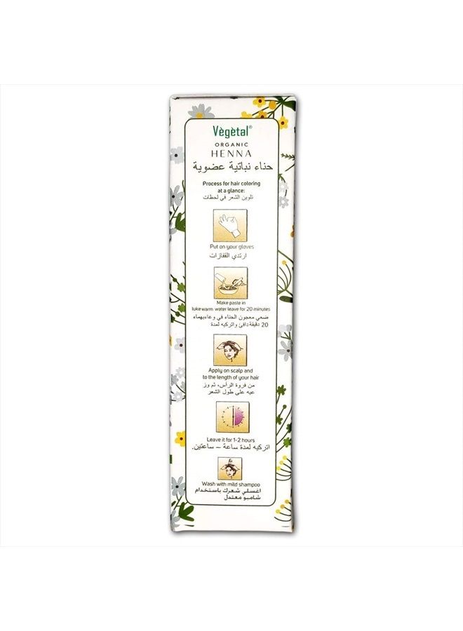 Vegetal Certified Organic Bio Henna Powder - 100% Pure Natural, Herbal Henna (Mehandi) for Hair, Hands and Feets -100gm - Image 3