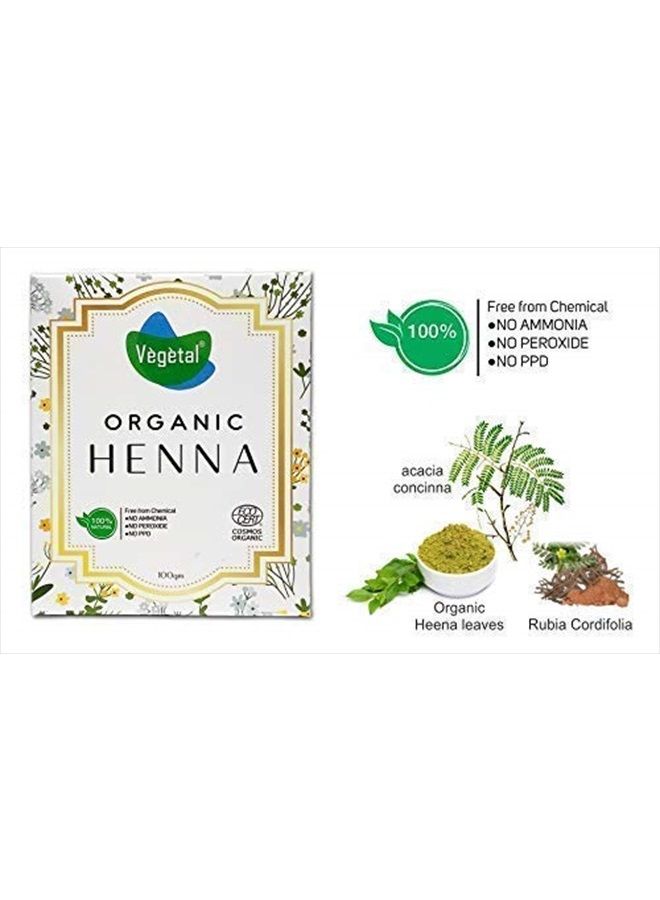 Vegetal Certified Organic Bio Henna Powder - 100% Pure Natural, Herbal Henna (Mehandi) for Hair, Hands and Feets -100gm - Image 4