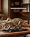 Nifeliz Triceratops Fossil Model Set Dinosaur Skeleton Building Set for Adults and Collectors Ideal Gift for Fossil Lovers 798 PCS NF10351 - Image 4