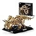 Nifeliz Triceratops Fossil Model Set Dinosaur Skeleton Building Set for Adults and Collectors Ideal Gift for Fossil Lovers 798 PCS NF10351 - Image 2