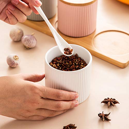 Mathew O Ceramic Embossed Stripe Sugar Bowl Spice Jar Storage Seasoning Pot with Lid Spoon - Image 3