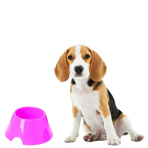 Savic Picnic Cocker Bowl for Dogs, Feeding or Drinking Bowl for Cats and Dogs, Narrow and Tall Design Comfortable to Eat and Clean, Extremely Light Weight, 700 Ml - Image 5