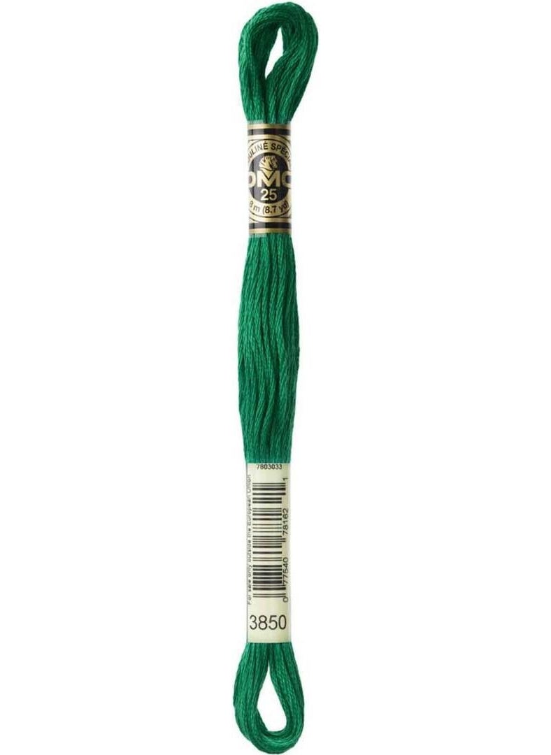 DMC Muline - Tapestry Embroidery Thread 8 Meters 3850 
