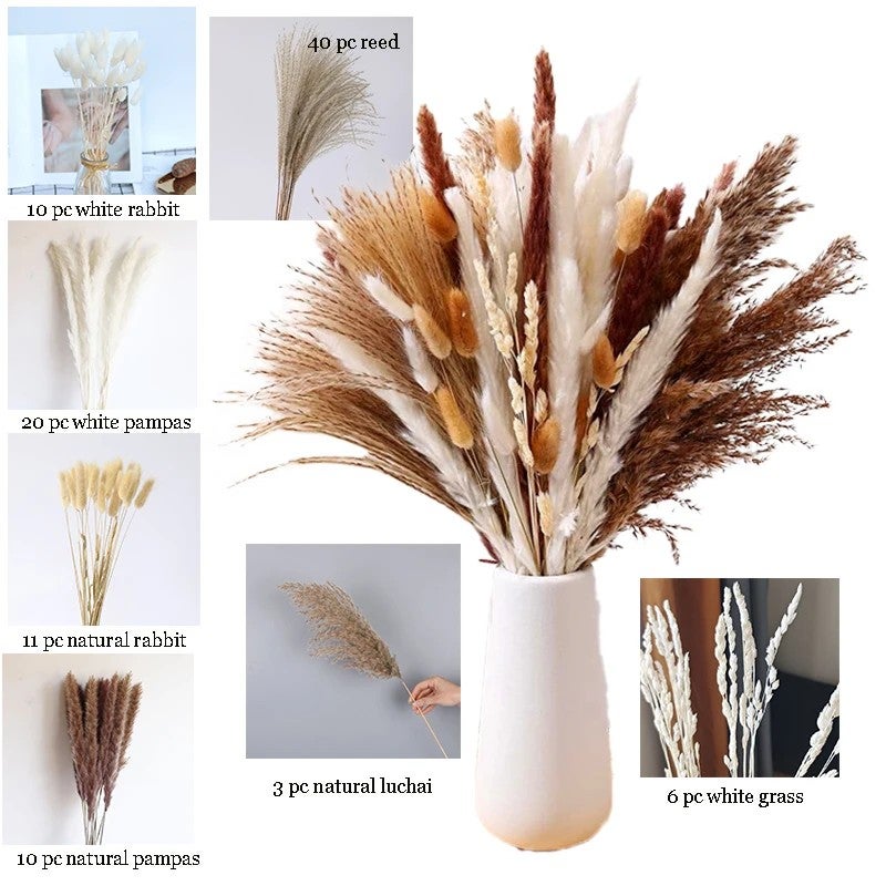 Bluejw 100PCS Natural Dried Pampas Grass Bouquet - Boho Home Decor, Phragmites Dried Flowers Arrangement for Wedding Centerpieces & Dried Plants Display - Image 1