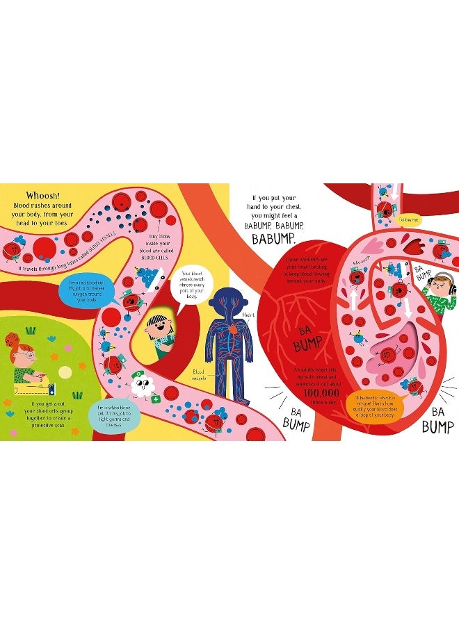 Your Body - Step Inside Science - Image 2