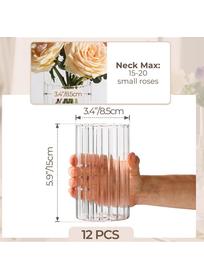 ComSaf Glass Cylinder Vases Pack of 12, Clear Ribbed Bud Vases for Centerpieces Weeding Decoration, 6 inch Tall Clear Flower Vases in Bulk, Hurricane Candle Holder for Party Home Decor - Image 4