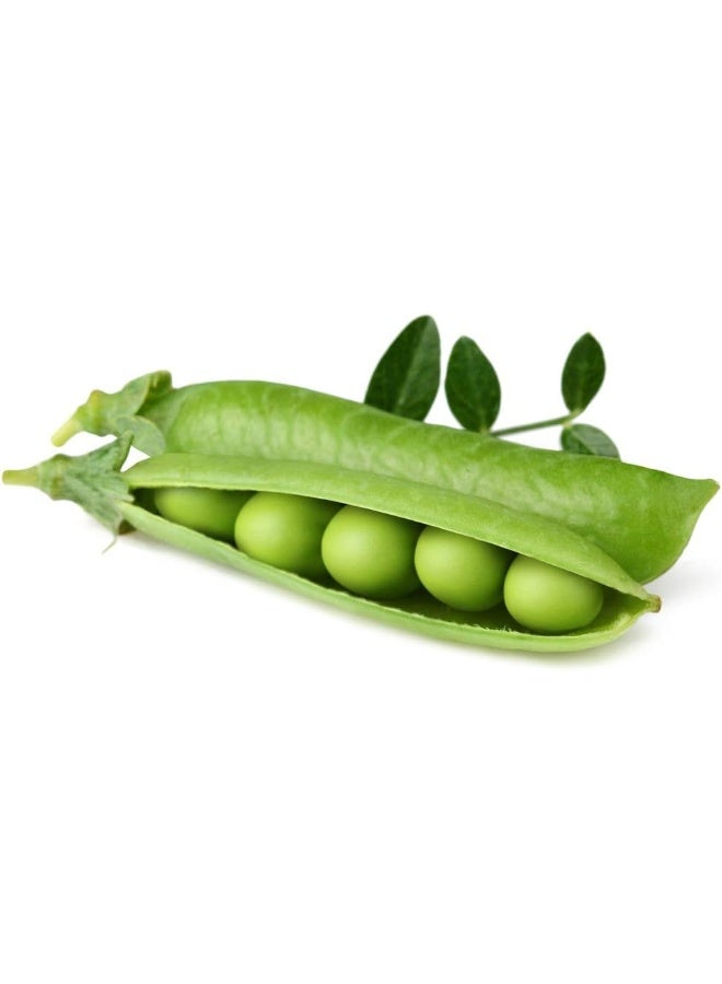 CLICK AND GROW مجموعة من 3 قرون نبات البازلاء القزمية من Smart Garden  - Image 4
