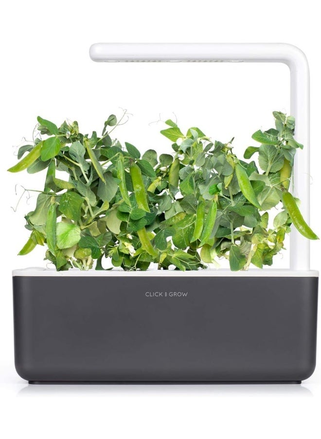 CLICK AND GROW مجموعة من 3 قرون نبات البازلاء القزمية من Smart Garden  - Image 1