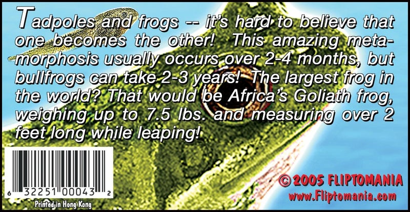 Fliptomania Nature Flipbook 3-Pack: Butterfly, Hummingbird, and Frog Flipbooks - Image 3