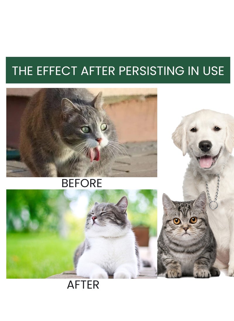 60ml pet probiotic drops to relieve physical discomfort of cats and dogs, oral bad breath pet care solution - pzsku/ZADE954AC1DF37C700FAFZ/45/_/1734428798/05a411a2-2894-48e2-9c22-b115d35eaf47