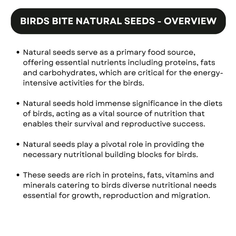 TUNAI SF+ Birds Bite Natural Seeds Pet Birds Food | Offers Essential Nutrients | Suitable for African Love Birds, Conures, Love Birds, Budgerigar, Finch and Macaws (800gms, Natural Seeds) - Image 2