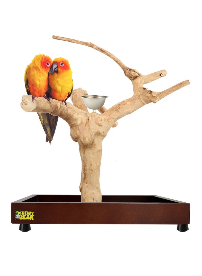 CHEWY BEAK Bird Stand Table Top Natural wooden Parrot Play Stand Indonesian Java wood Tree Perches with Stainless steel feeder small size - Image 1