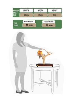 CHEWY BEAK Bird Stand Table Top Natural wooden Parrot Play Stand Indonesian Java wood Tree Perches with Stainless steel feeder small size  - Image 2