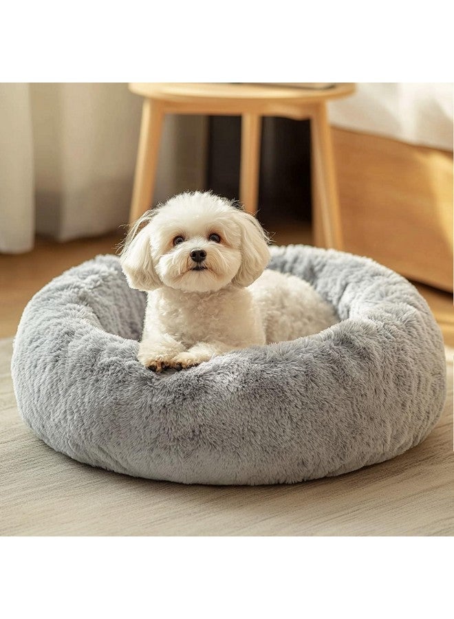 جولي فوغ سرير جولي فوغ للكلاب والقطط، سرير مهدئ ومضاد للقلق للحيوانات الأليفة الصغيرة، وسادة دونات ناعمة للحيوانات الأليفة الصغيرة والمتوسطة (20 بوصة) - Image 1