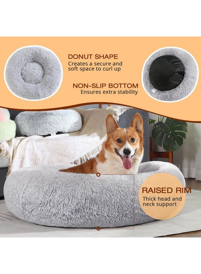 جولي فوغ سرير جولي فوغ للكلاب والقطط، سرير مهدئ ومضاد للقلق للحيوانات الأليفة الصغيرة، وسادة دونات ناعمة للحيوانات الأليفة الصغيرة والمتوسطة (20 بوصة) - Image 5