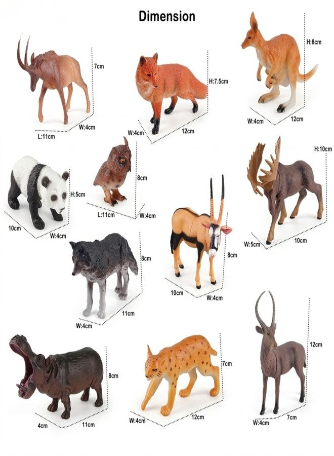 MALLEXO BIG SIZE 12PCs Wildlife Jungle Animals Toys for Kids 3+| Realistic Forest Animal Action Figures Zoo Janwar Toy Set for Boys & Girls School Project Toys Birthday Children Decor | Education Item - Image 3