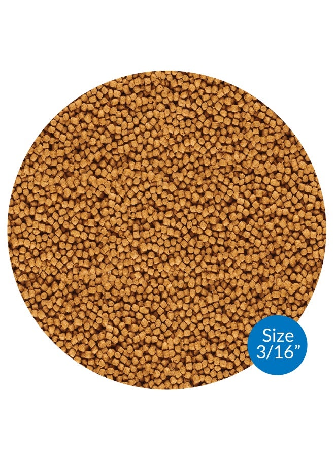 API Pond Cool Water Food , 11 oz - Image 2