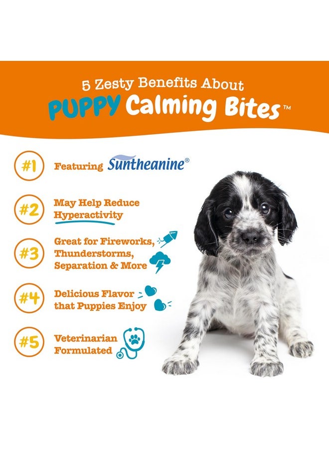 Zesty Paws Calming Chews For Dogs Composure & Relaxation For Everyday Stress & Separation Turkey Puppy 90 Count  - Image 3