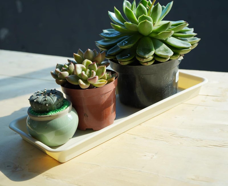 VUWEZ 2 Pack Plastic Plant Trays Rectangular 14 inch, Indoor/Outdoor Plant Water Drip Trays for Flower Pot Planter, Windowsill (6.8 X 14.5'', Beige) - Image 3