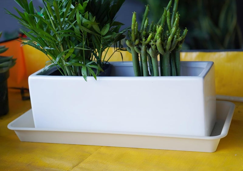 VUWEZ 2 Pack Plastic Plant Trays Rectangular 14 inch, Indoor/Outdoor Plant Water Drip Trays for Flower Pot Planter, Windowsill (6.8 X 14.5'', Beige) - Image 4