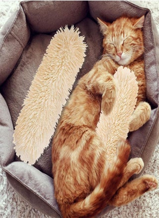 Cat Nips Toys,Soft and Safe Cat Catnip Toys Plush Pillow Cat Toy with Cotton Filling | Fun and Interactive Cat Chew Toys for Indoor Cats kittens Play - pzsku/ZADF29F1E8E15C3653CBEZ/45/_/1735973530/aae9d1d8-3b80-47ee-a7dc-b35e432e3bb6