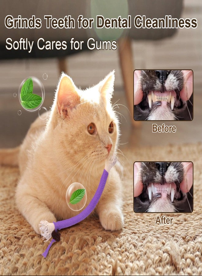 WoLover Cat Chew Toy Ropes, 3 Pack Catnip Toys for Teeth Cleaning, Sisal Rope Cat Toy for Indoor Kitten, Interactive Cat Nip Kitty Toys for All Breeds 7.87 Inches (Plus 3 Pack of Catnip) - Image 3