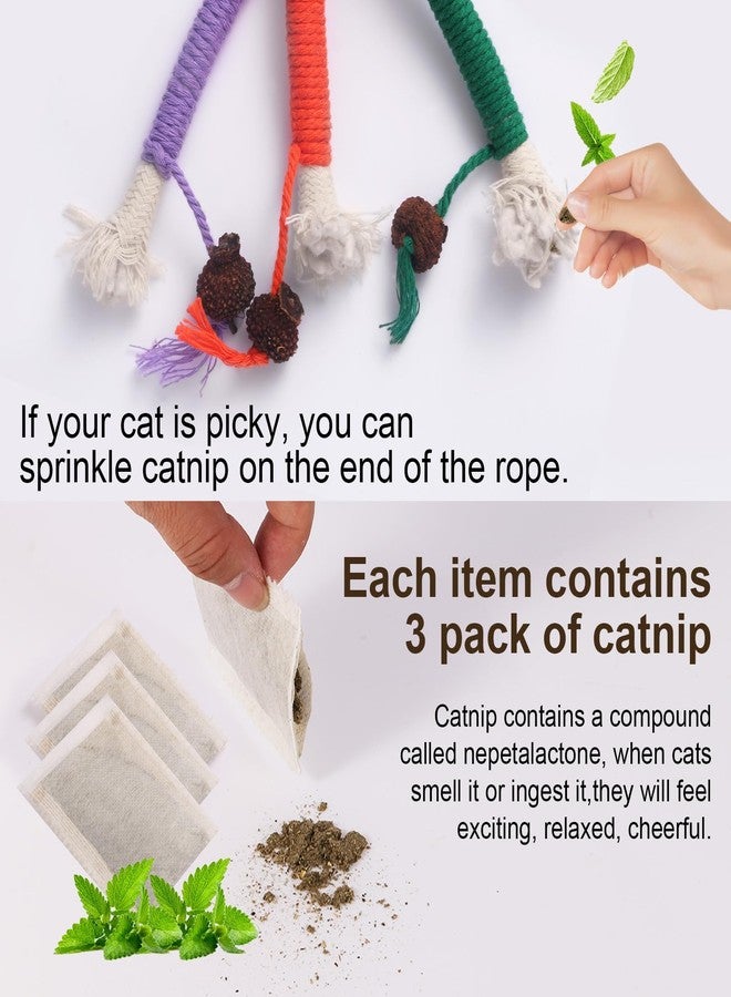 WoLover Cat Chew Toy Ropes, 3 Pack Catnip Toys for Teeth Cleaning, Sisal Rope Cat Toy for Indoor Kitten, Interactive Cat Nip Kitty Toys for All Breeds 7.87 Inches (Plus 3 Pack of Catnip) - Image 5