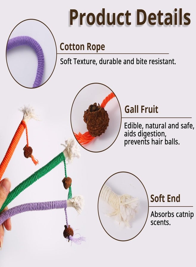 WoLover Cat Chew Toy Ropes, 3 Pack Catnip Toys for Teeth Cleaning, Sisal Rope Cat Toy for Indoor Kitten, Interactive Cat Nip Kitty Toys for All Breeds 7.87 Inches (Plus 3 Pack of Catnip) - Image 2