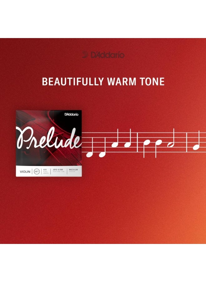 D'Addario D'Addario Prelude Violin String Set, 1/4 Scale, Medium Tension – J810 1/4M - Solid Steel Core, Warm Tone, Economical and Durable – Educator’s Choice for Student Strings – 1 Set  - Image 3