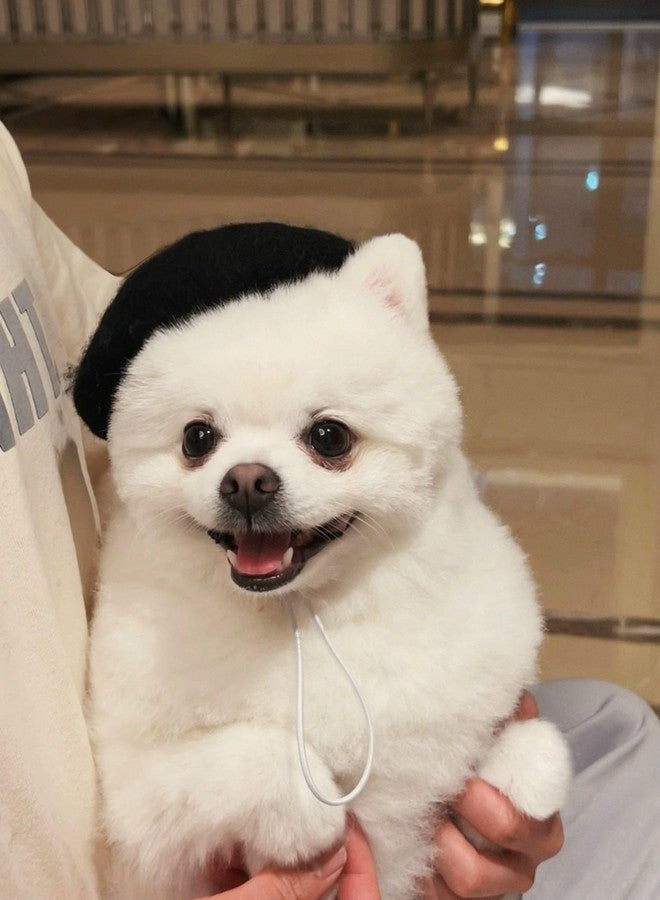 SLOTHCITY Dog Beret Hats Cats Hats Fashion Four Seasons Funny Comfortable Wool Pet Hat (Black) - Image 2