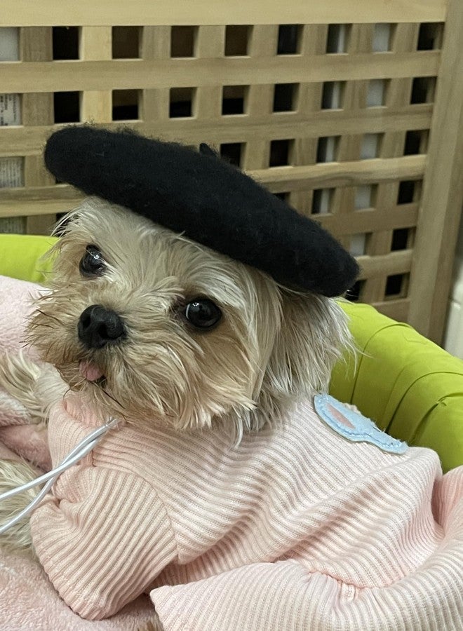 SLOTHCITY Dog Beret Hats Cats Hats Fashion Four Seasons Funny Comfortable Wool Pet Hat (Black) - Image 4