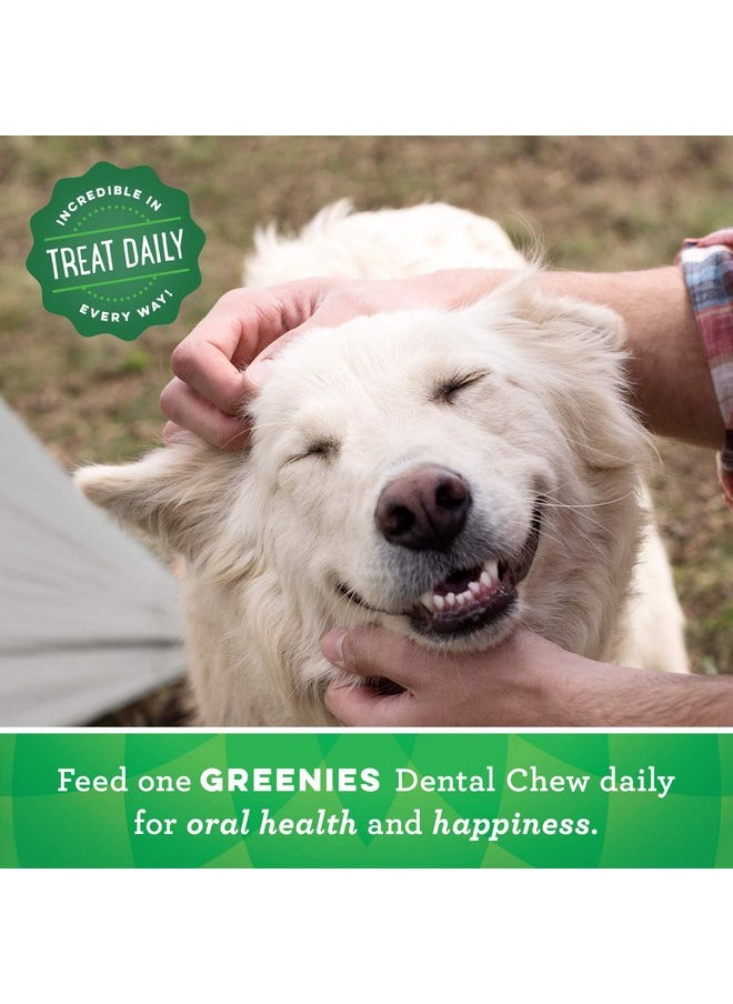 Greenies - Greenies Regular Size Dental Dog Treats, Gingerbread Flavor, 12 oz. Pack (12 Count) - Image 1