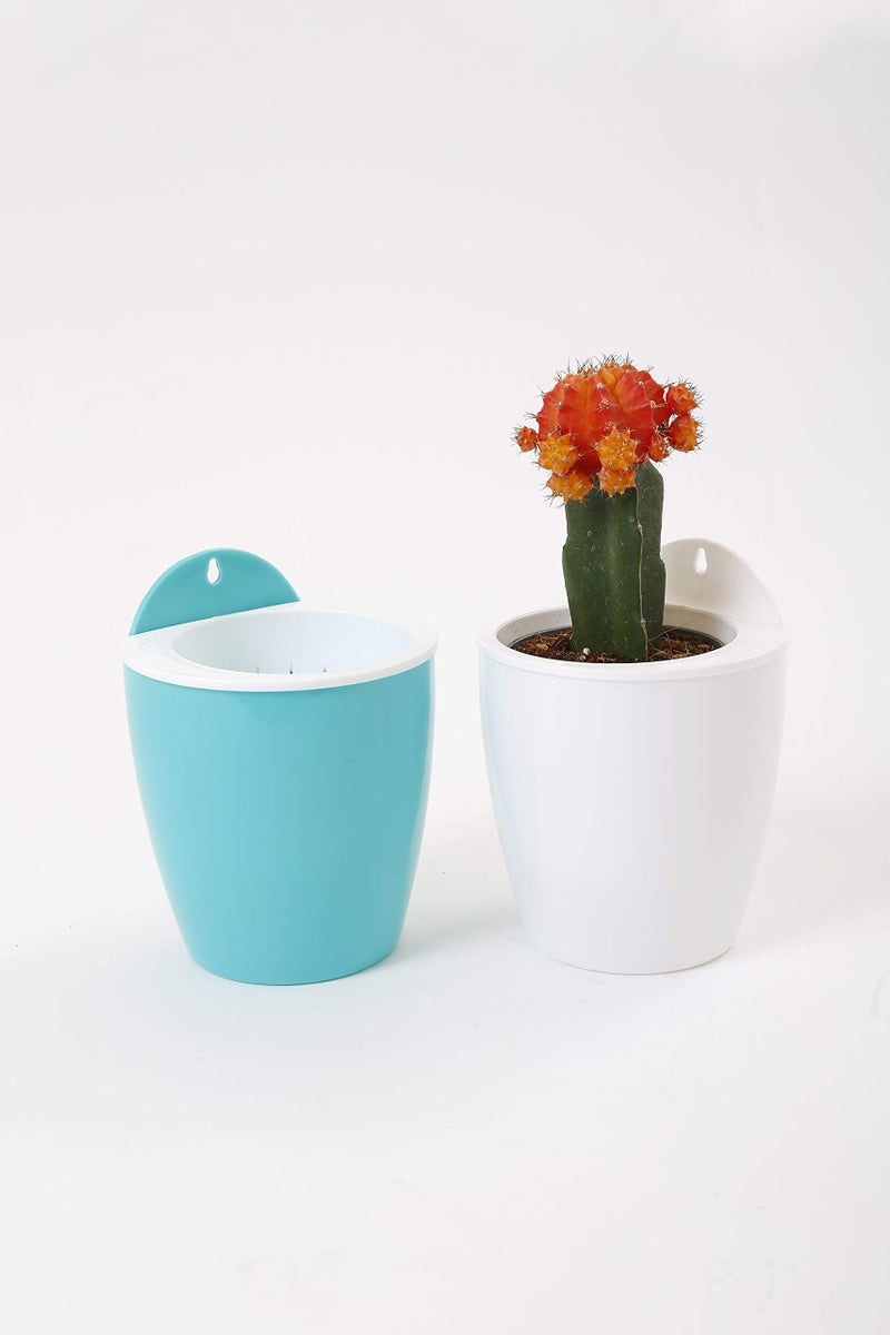 CAPPL Self Watering Hanging Planter Flower Pot (Turq-White Pack of 3) - Image 4