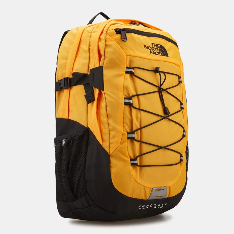 THE NORTH FACE Borealis Classic Backpack