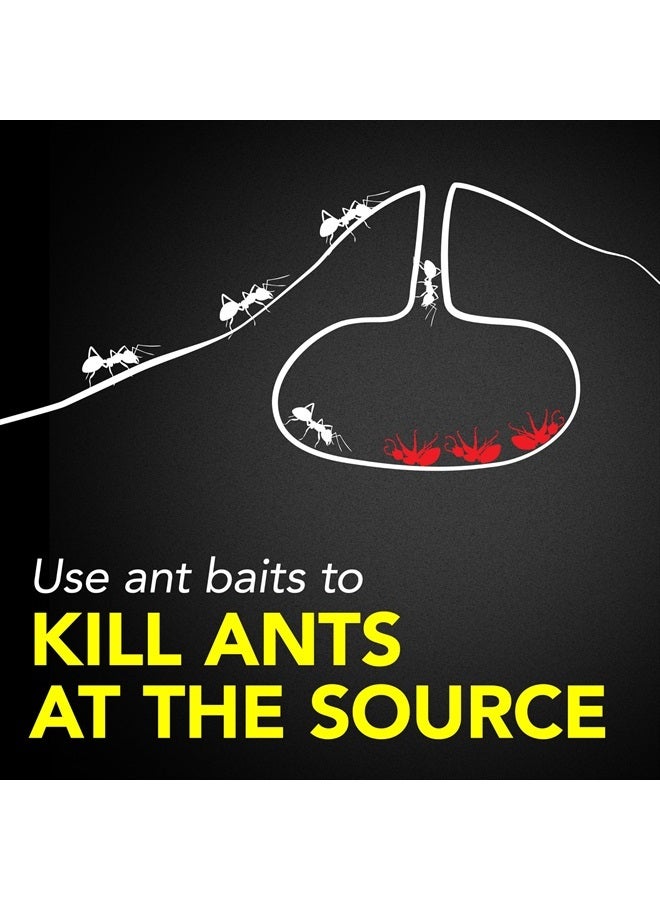 Ant Killer Baits, 8 Count (0.24 oz)