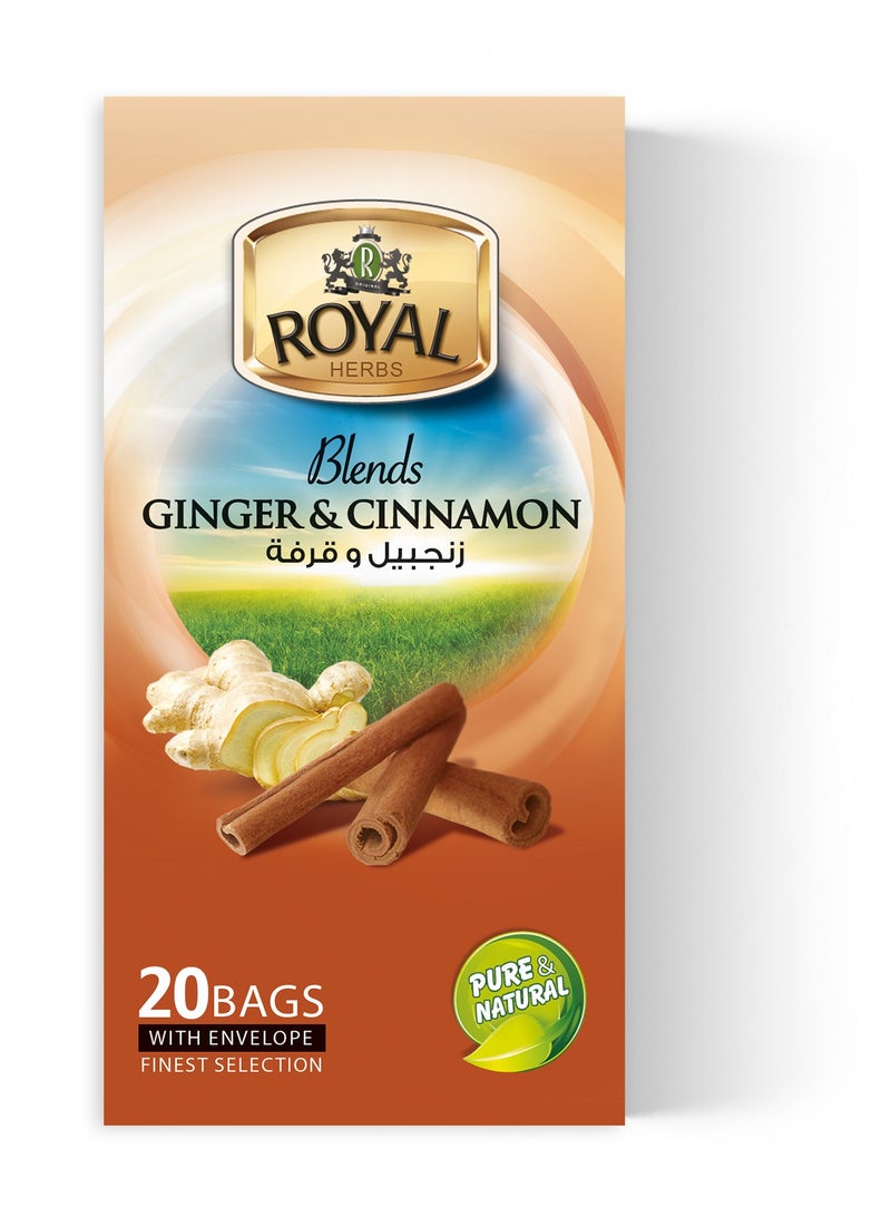 Ginger & Cinnamon 20 Filter with envelope