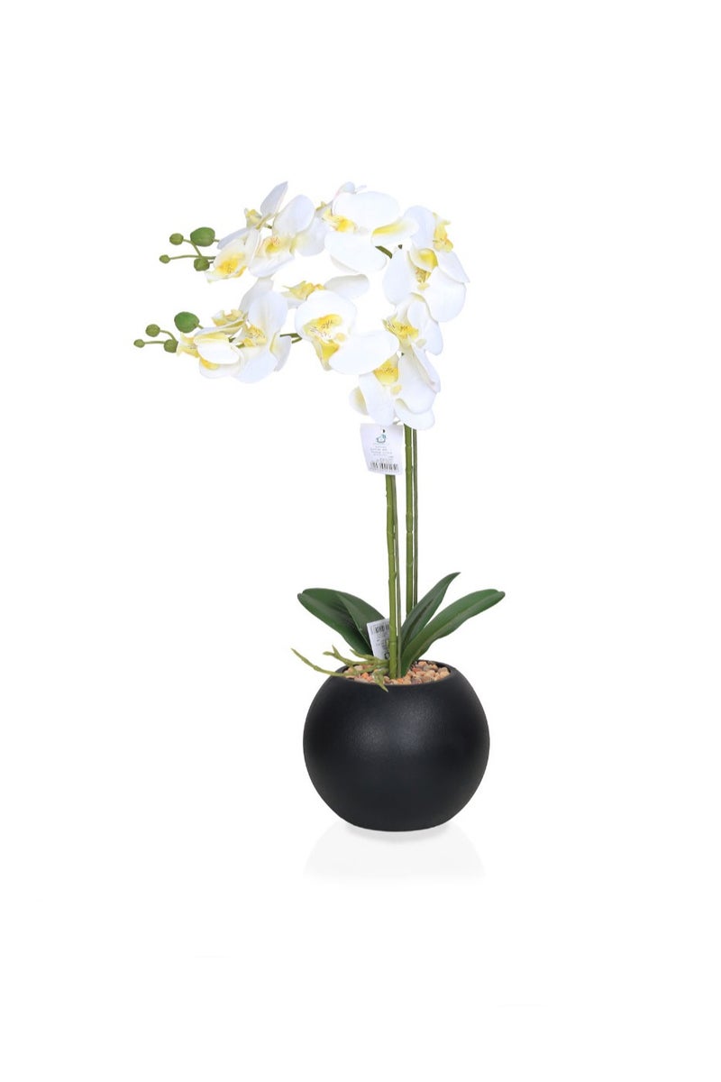 Alrassi 60 cm Artificial Orchid Flower – Realistic Look and Feel with an Elegant Black Pot for Interior Décor - Image 2