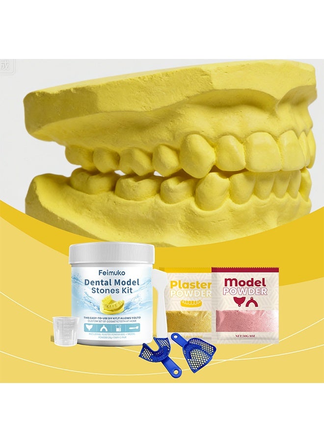 Feimuko Dental Model Stones Kit, Teeth Mold Kit, Impression Tray Set, Plaster Powder With Display Model, Tooth Decoration With Complete Supplies, Educational Tool Classroom Demonstration, Kit For Students - Image 2