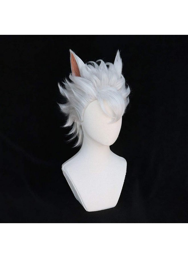 Jack Howl Anime Wig Costume Character Wig Cosplay Wig - pzsku/ZADF9FAD309EB50914065Z/45/_/1707981490/ae591c6e-6a9b-4b8f-a5d3-98c2af169845