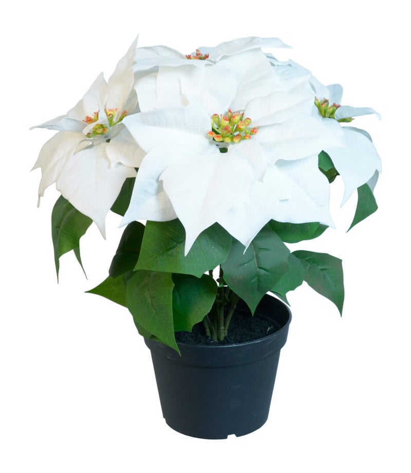 TenWaterloo 14 Inch White Artificial Christmas Poinsettia Plant in Pot Velvet Touch Flowers