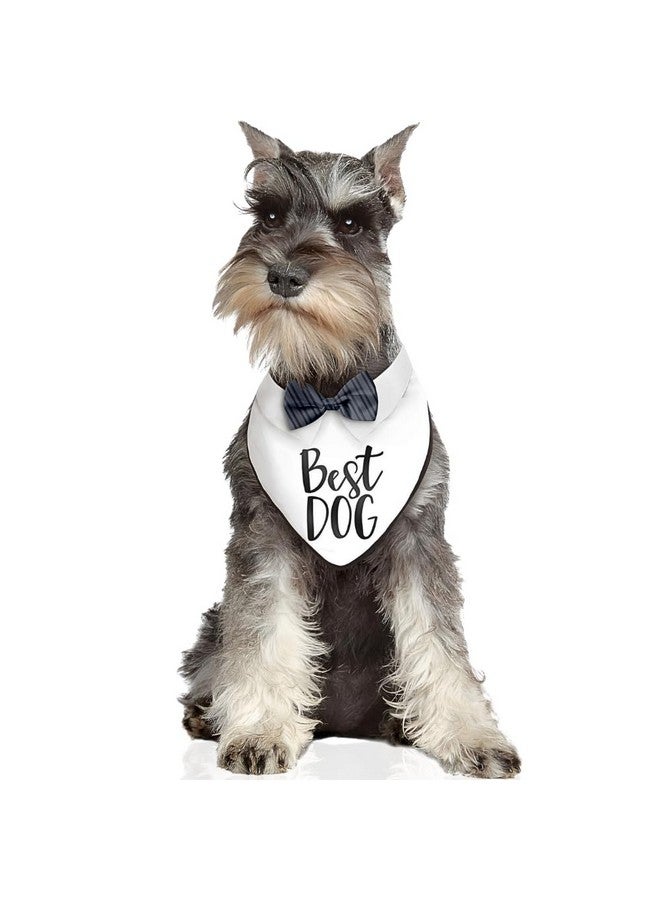 Amscan Stylish Best Dog Bandana, 14.5" x 10.25" - 1 Pc. | Premium Black & White Fabric, Perfect Accessory for Dogs