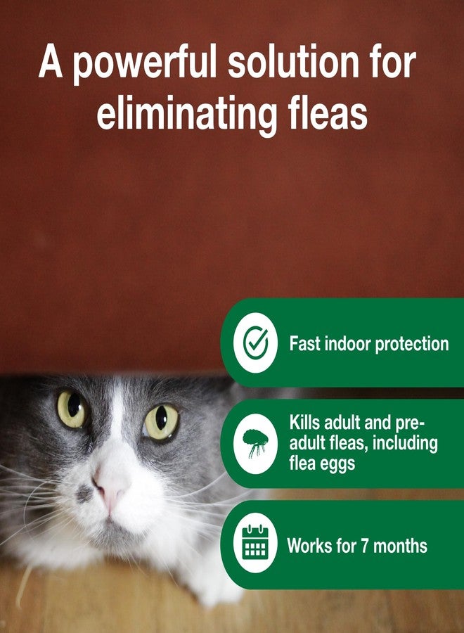 Advantage Household Fogger | Kills Fleas & Ticks | Flea Fogger for Home | 2 oz. Canisters (Pack of 3) - Image 3