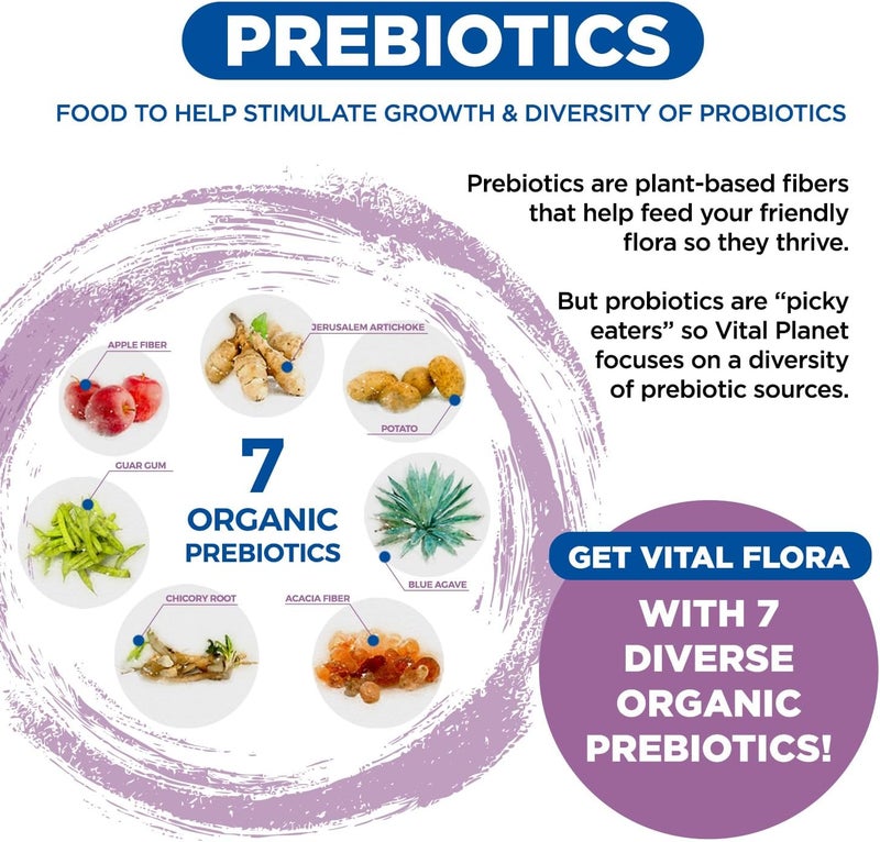 Vital Planet  Vital Flora Womens Daily Probiotic 60 Billion CFU 60 Diverse Strains 7 Organic Prebiotics Vaginal and Immune Support Bloating Digestive Health Probiotics for Women 60 Capsules - Image 5