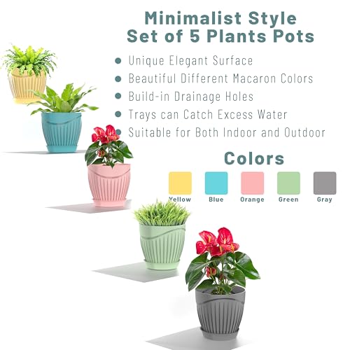 Eightiz ET-206 (Pack of 5) 6 inch Premium Round Plastic Flower Pots with Tray for Home Planters, Terrace,for Home Indoor & Outdoor Gardening Plants(Multi Colour) - Image 2