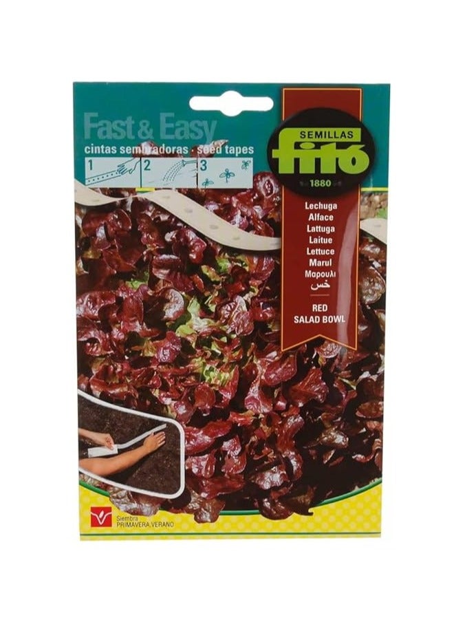 فيتو سريع وسهل سلطة حمراء خس وبذور الشريط من سيميلاس فيتو - Image 1