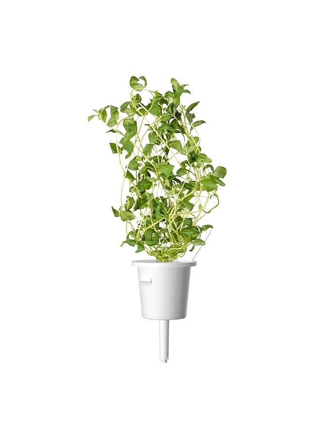 click 9Piece Italian Herb Mix Seed Pod Set Brown PPMIPX9  - Image 1