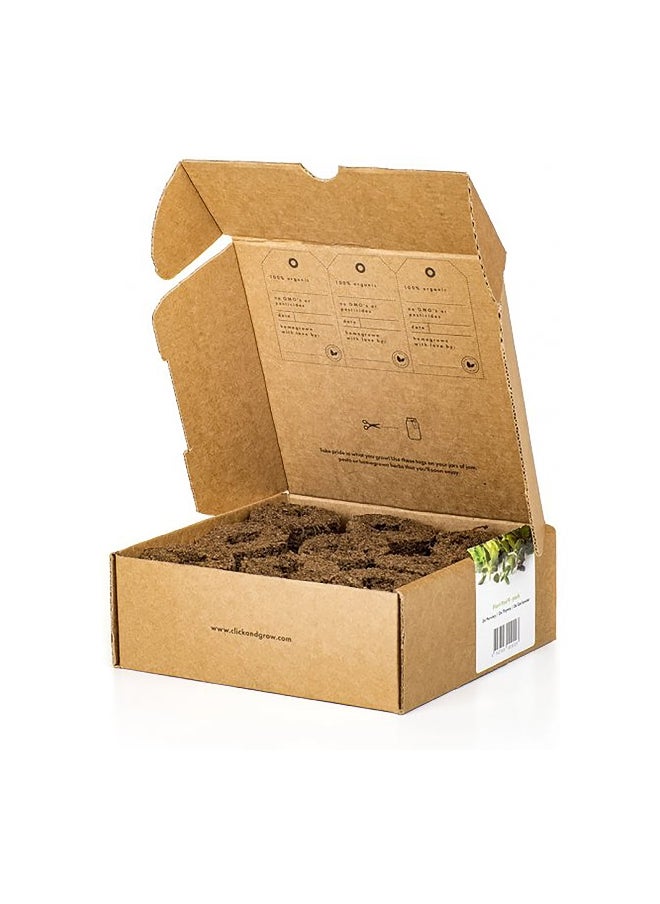 click 9Piece Italian Herb Mix Seed Pod Set Brown PPMIPX9  - Image 4