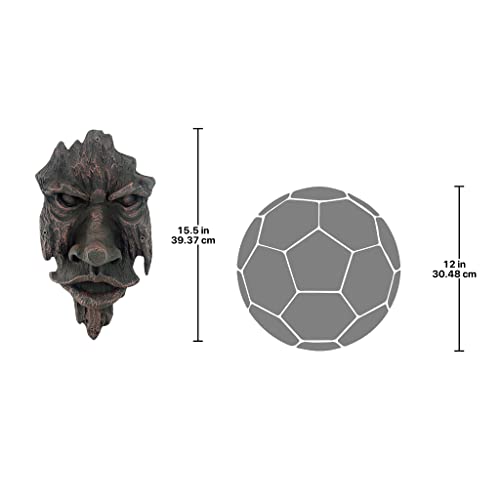 Design Toscano Nottingham Woods Greenman Tree Face Indoor/Outdoor Fantasy Wall Sculpture, 15 inches tall, Cast Stone Resin, Woodtone Finish - Image 3